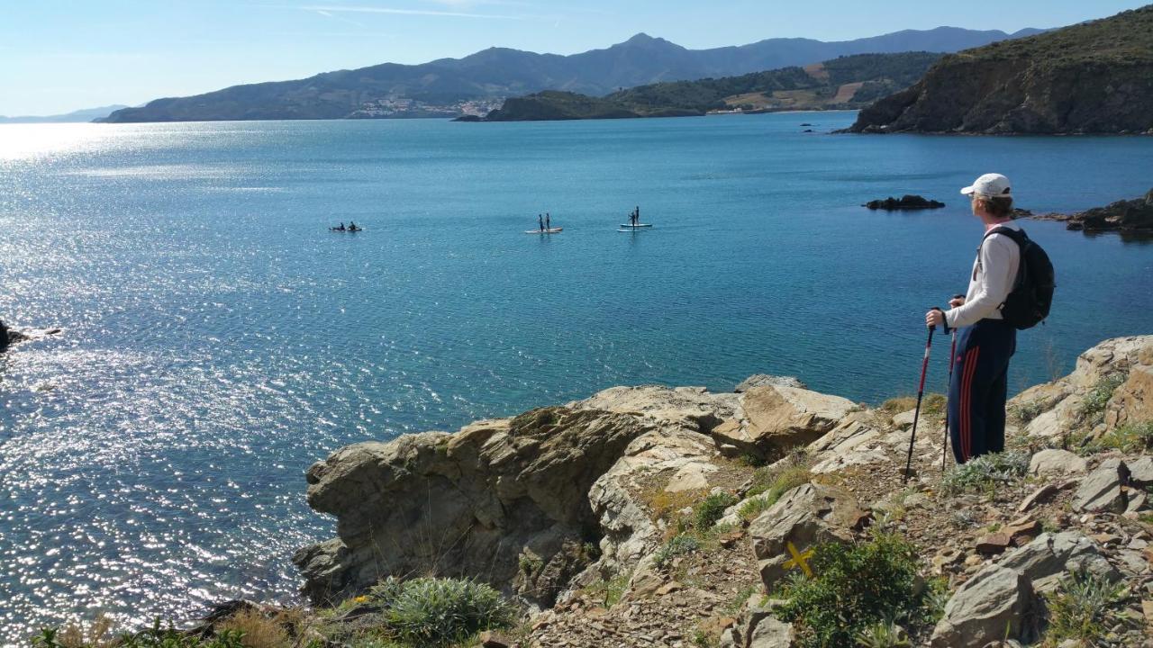 Chambres D'Hotes Et Gites Al Pati Sorède Εξωτερικό φωτογραφία