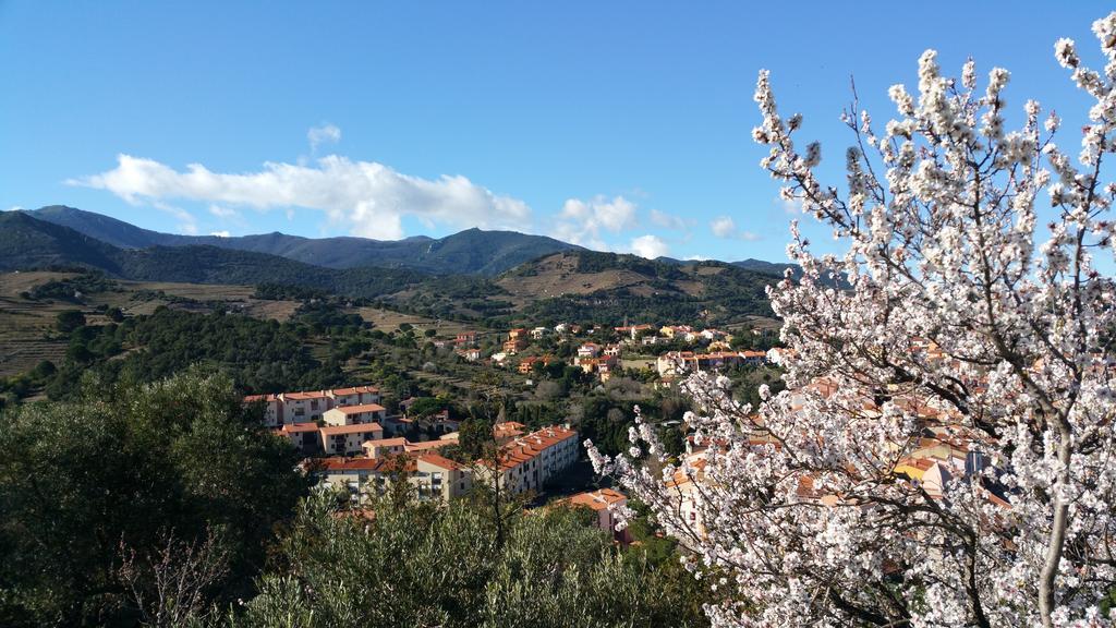 Chambres D'Hotes Et Gites Al Pati Sorède Εξωτερικό φωτογραφία